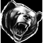 WHITE GRIZZLY