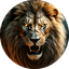 LIONS KING