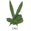 Veni,Vidi,Vici