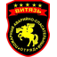 Стальные "ВИТЯЗИ"