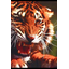RED tiger_Красный тигр