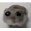 KORCY