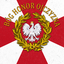 Polskie Siły Pancerne