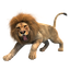 ***ЛЬВИННАЯ ГВАРДИЯ***