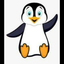 Wild Penguin