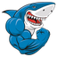 SHARKS POWER