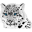 BIG CATS