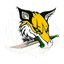 Rogue Foxes