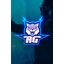 Autistic gaming