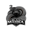 Black Mamba Team
