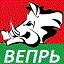 Стальной Вепрь