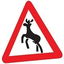 Wild Reindeer Дикие Олени