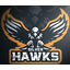 Silver Hawks (Серебряные Ястребы)