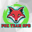 FOX TEAM SPB