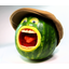 OBOLLI