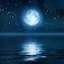 I__Moonlight__I