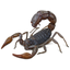 SKORPION___