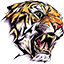 Nightly Tigers