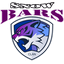Snow_BARS