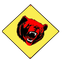 Mad Bear