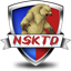 Norilsk Tank Division