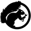 Fighting_Squirrels