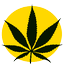 GNK