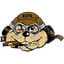 КРУТЫЕ БОБРЫ!