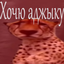 ADJIKA