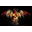 Clan logo