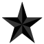 Black Star Inc.