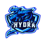 THE MAIN GAMERS OF HYDRA