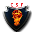 C_S_FYGAS