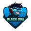 Black_box