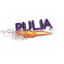 ZWEROBOI01