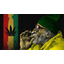 JahChildren