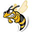 Angry Wasps
