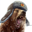 Power_Bear