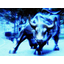 TAURUS_777