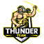 Thunder Team™