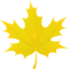 VALLEY OF MAPLES