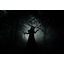 Venomous Shadows
