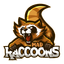 Mad Raccoons