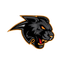 BLACK-PANTHER
