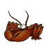 Insane Crabs