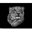Snow leopard !!!
