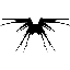 Z"HA"DUM