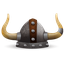 VIKINGS ®