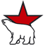 Первая полярная дивизия