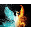 Phoenix Rising.